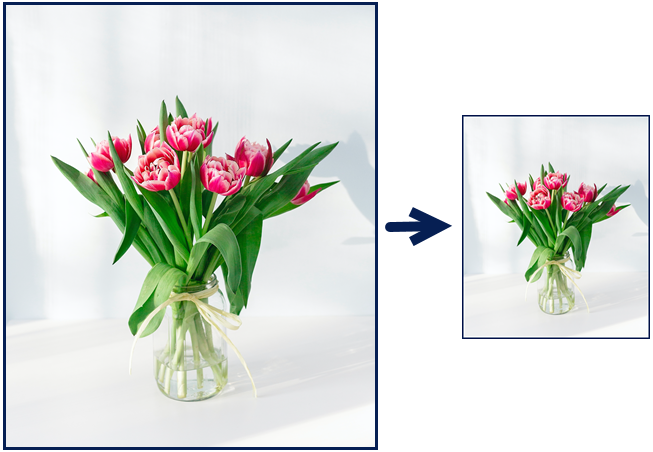 Feature 1 Image